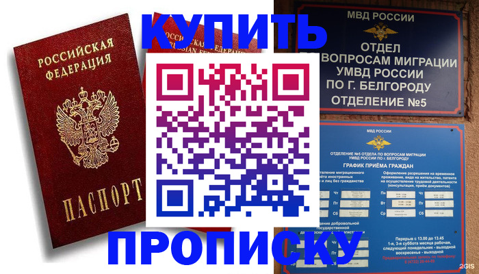 прописка иностранных граждан в Апатитах